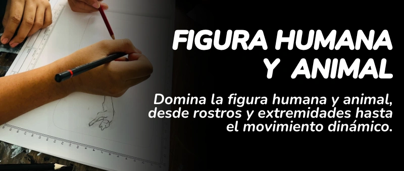 Domina la figura humana y animal, desde rostros y extremidades hasta el movimiento dinámico.