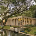 Descubre los Museos en Cali y Conecta con el Arte Local